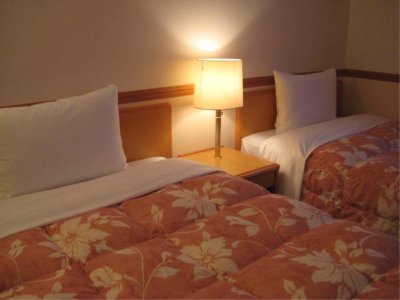 Toyoko Inn Niigata Ekimae Ngoại thất bức ảnh